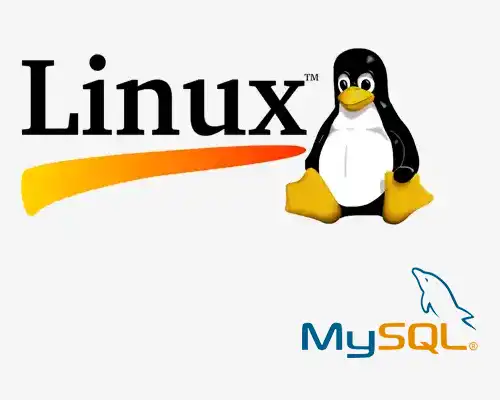 Hướng dẫn khắc phục lỗi MySQL server has gone away trên linux